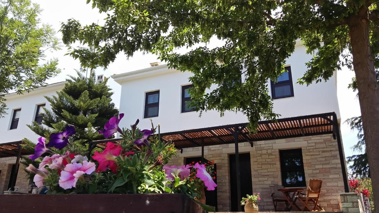 Sivota Apartments Athina Bagian luar foto