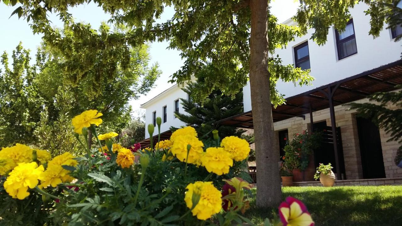 Sivota Apartments Athina Bagian luar foto