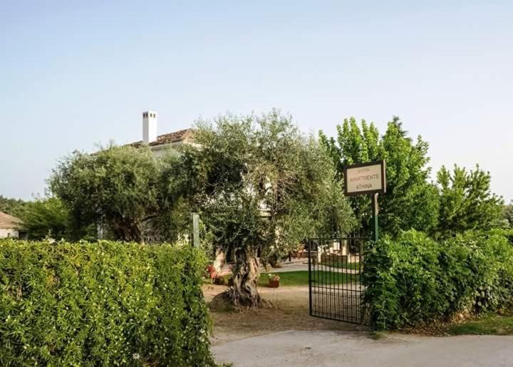Sivota Apartments Athina Bagian luar foto
